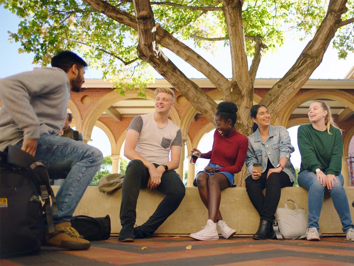 Group of students talking under a tree