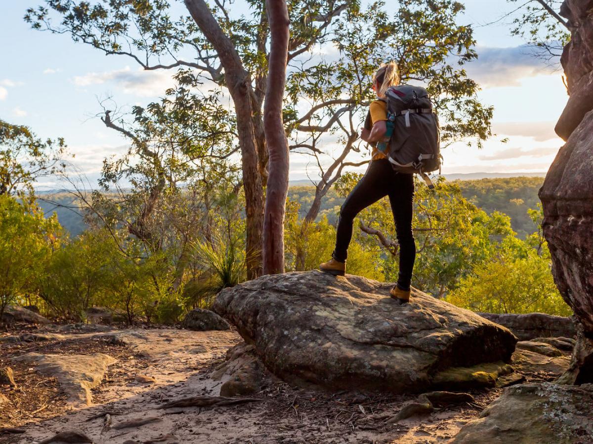 woman hiking standing on a rock in Australian bush setting