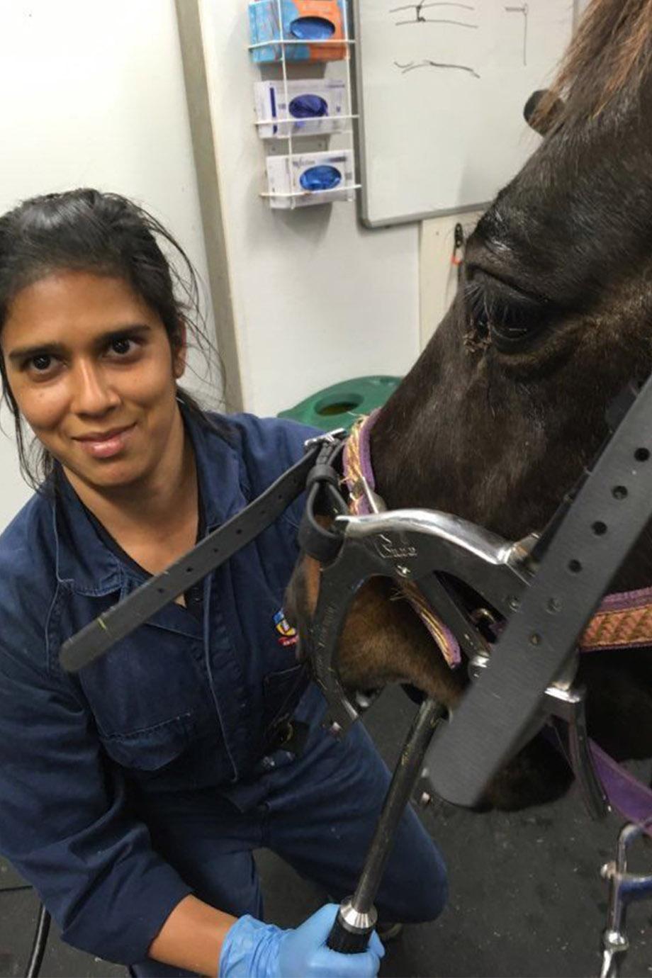 Doctor of Veterinary Medicine Alumnae Aparjita with horse