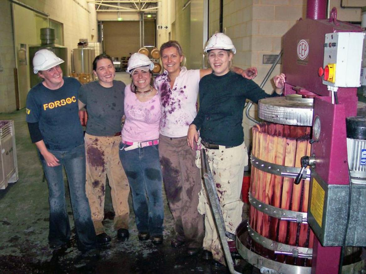 Students doing a wine internship