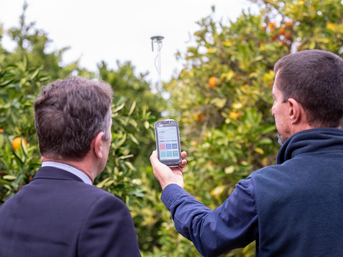 Image of two men looking at a mobile phone