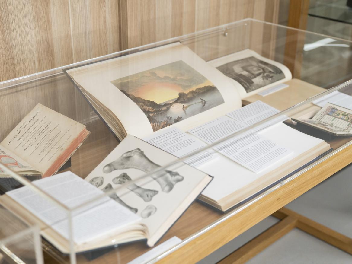 Display case on Level 1 of the library