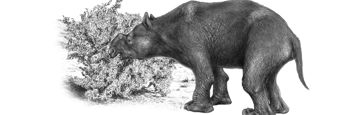 Climate not to blame for megafauna extinction in Australia