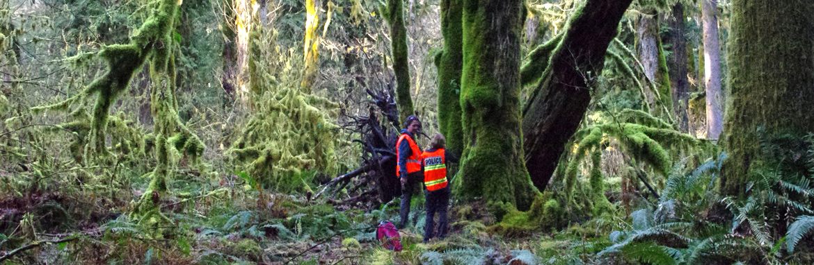 Genetic profiling of trees helps convict timber thieves