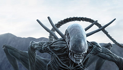 Xenomorph - Credit 20th Century Fox Film Distributors