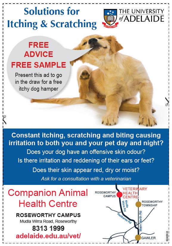 Present this ad to go in the draw for a free itchy dog hamper