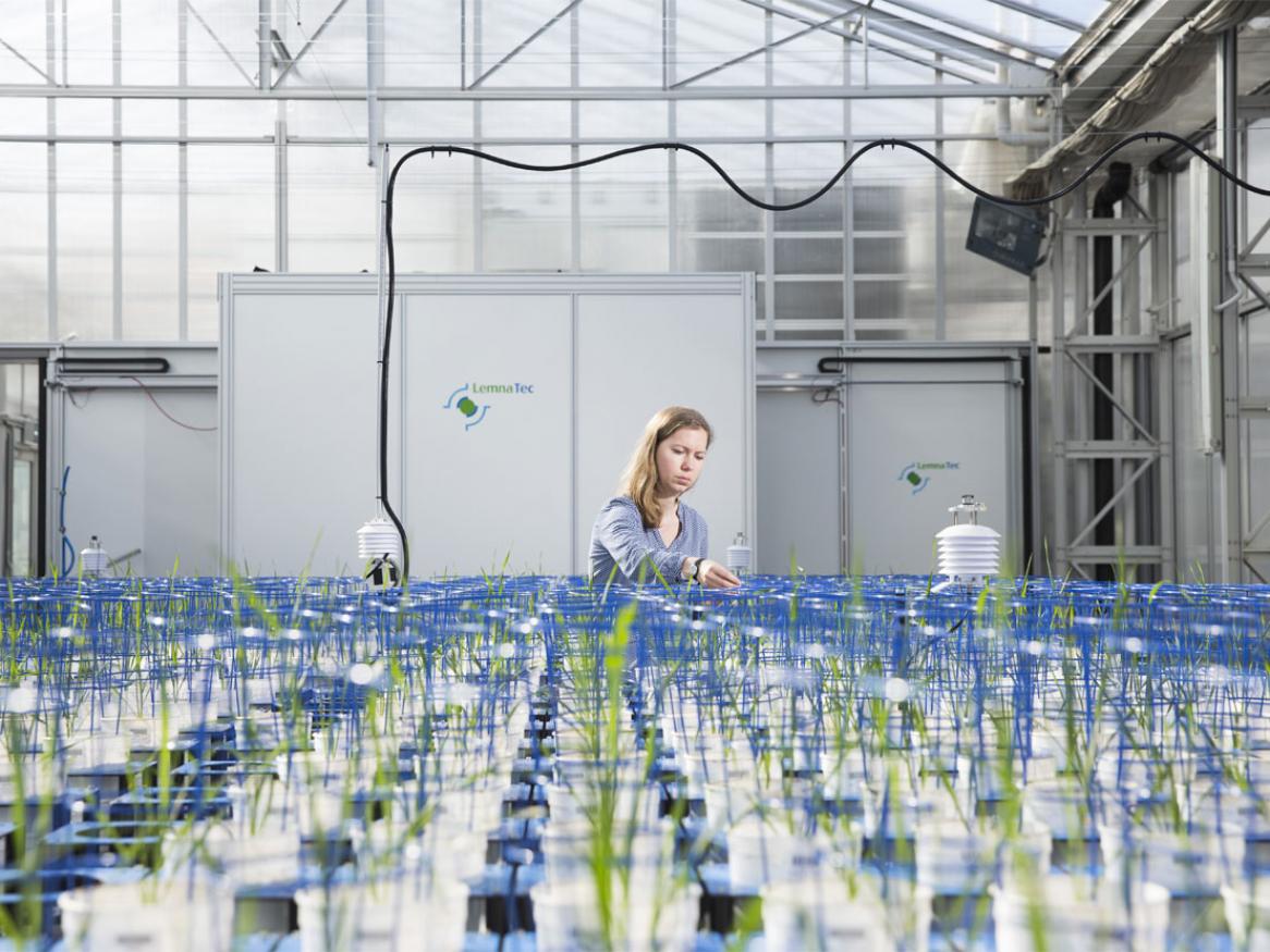 Female student with plant accelerator - Waite Campus