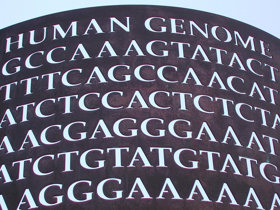 ancient human genome