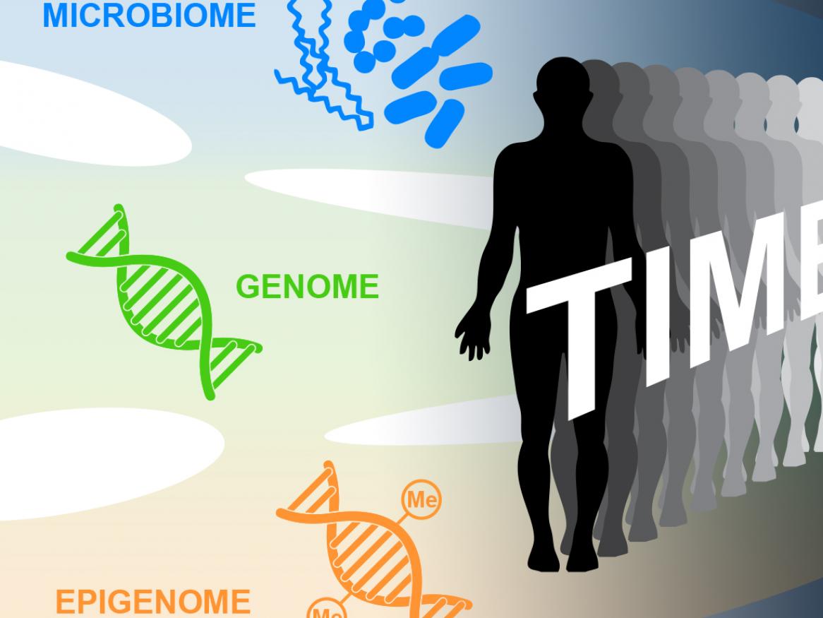 epigenome