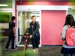 Designated bike lanes from the Village to North Terrace campus