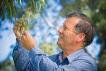 Associate Professor David Paton AM will lead the Woodland Recovery Initiative
Photo by Jennie Groom