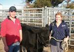 University of Adelaide students Henry Nott and Mary-Jayne Hickman are among the group of students working to secure first prize at this years Royal Adelaide Show in the led steer category
Photo by Jake Phillips