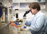 The excellent work of Associate Professor Simon Koblar in the Centre for Stem Cell Research is highlighted in the latest issue of the alumni magazine, <i>Lumen</i>
Photo by Randy Larcombe