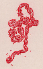 Ache, <i>shiver, sweat (influenza)</i>, 2011
by Cheryl Hutchens
cotton thread on calico
Image courtesy of Cheryl Hutchens