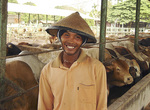 An Indonesian feedlot staff member
Photo courtesy of www.liveexportcare.com.au