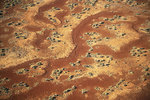 Desert patterns near William Creek, South Australia
Photo by David Wall