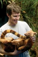 Kristofer Helgen with a Golden-mantled Tree Kangaroo (Dendrolagus pulcherrimus), formerly known only from a single mountain in neighbouring Papua New Guinea
Photos by Bruce Beehler and Stephen Richards, courtesy of Conservation International