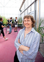 Professor Eileen Scott, Deputy Head of the School of Agriculture, Food and Wine, in the Plant Accelerator.