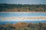 The Coorong
Photo by Lydia Paton