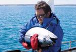 Researcher Quinn Fitzgibbon about to release a live tuna into the waterbed
Photo courtesy of Quinn Fitzgibbon