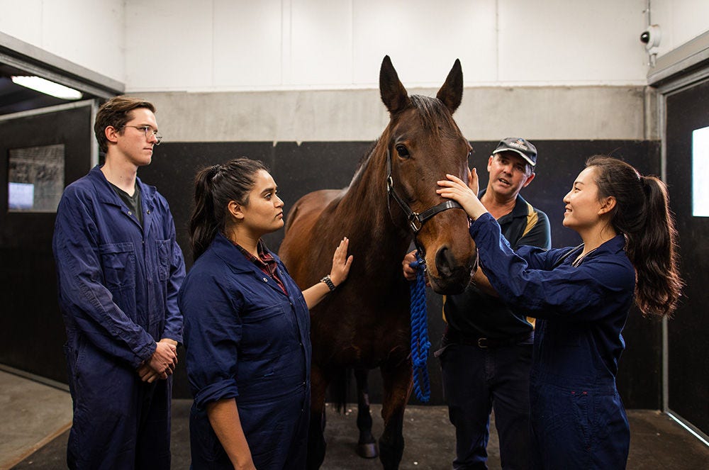 Study Bachelor of Science majoring in Animal Behaviour at Adelaide ...