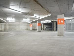 Carpark Input