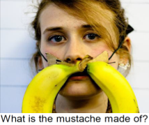 BananaVQA