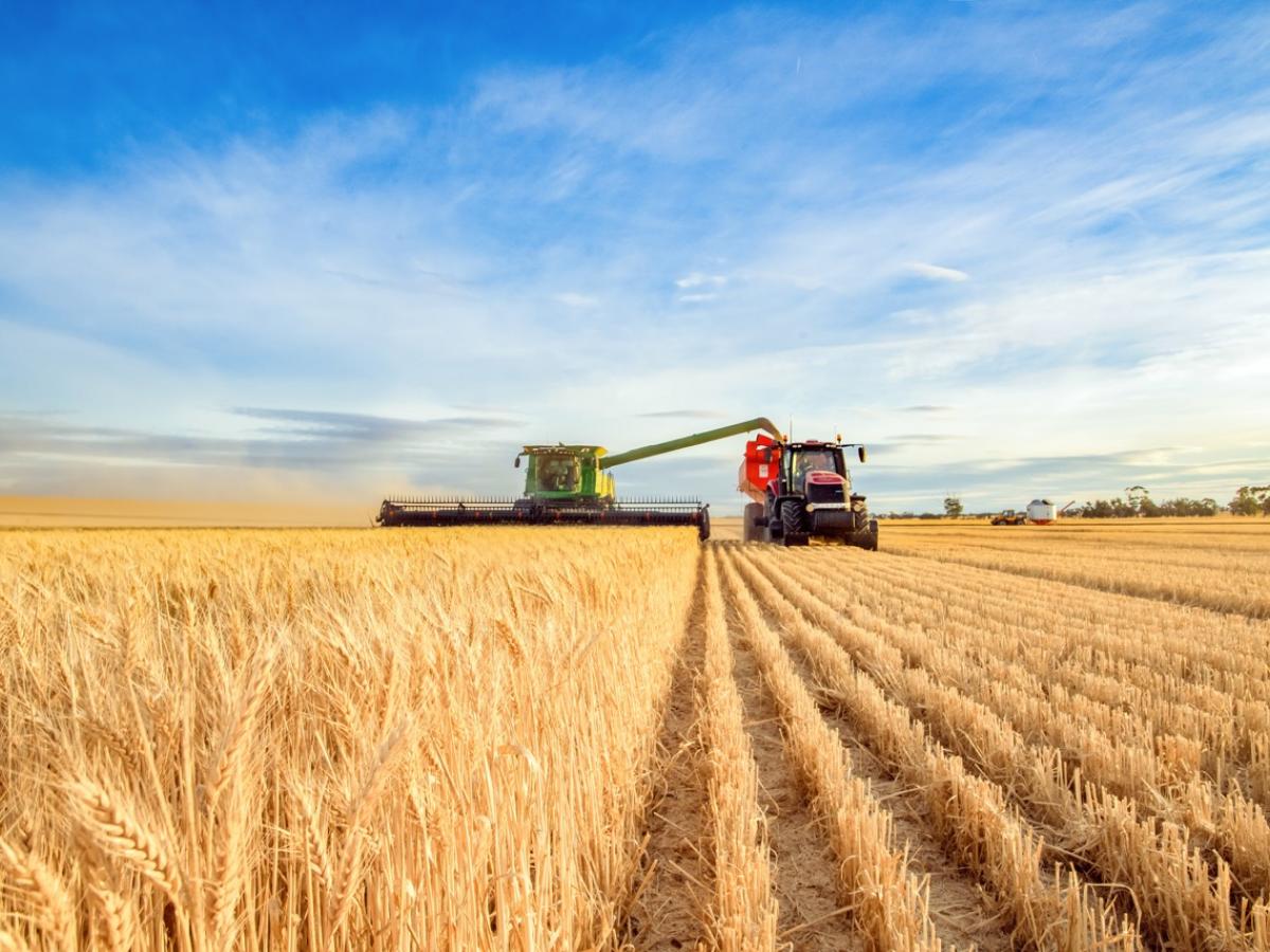 Image of crop harvester