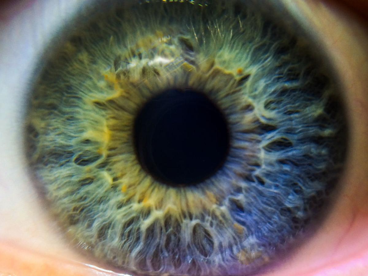 human eye up close