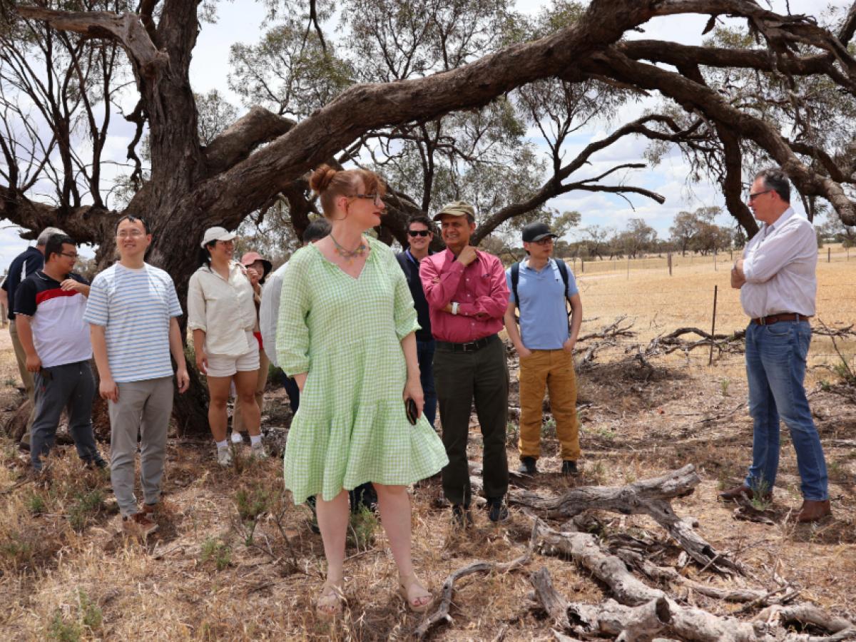 Roseworthy Visit 2024 - Field