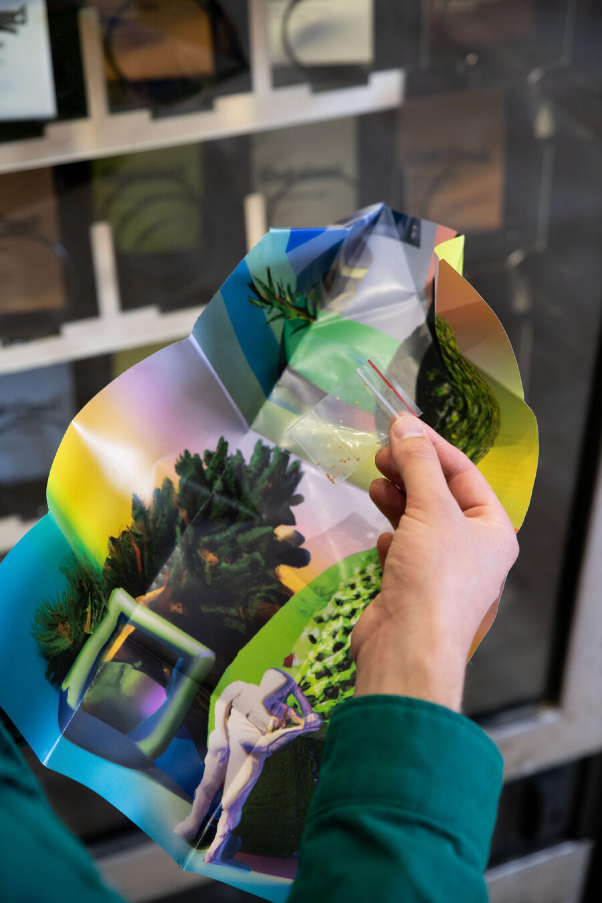 hands holding a colorful folded poster, and a small bag of plant seeds