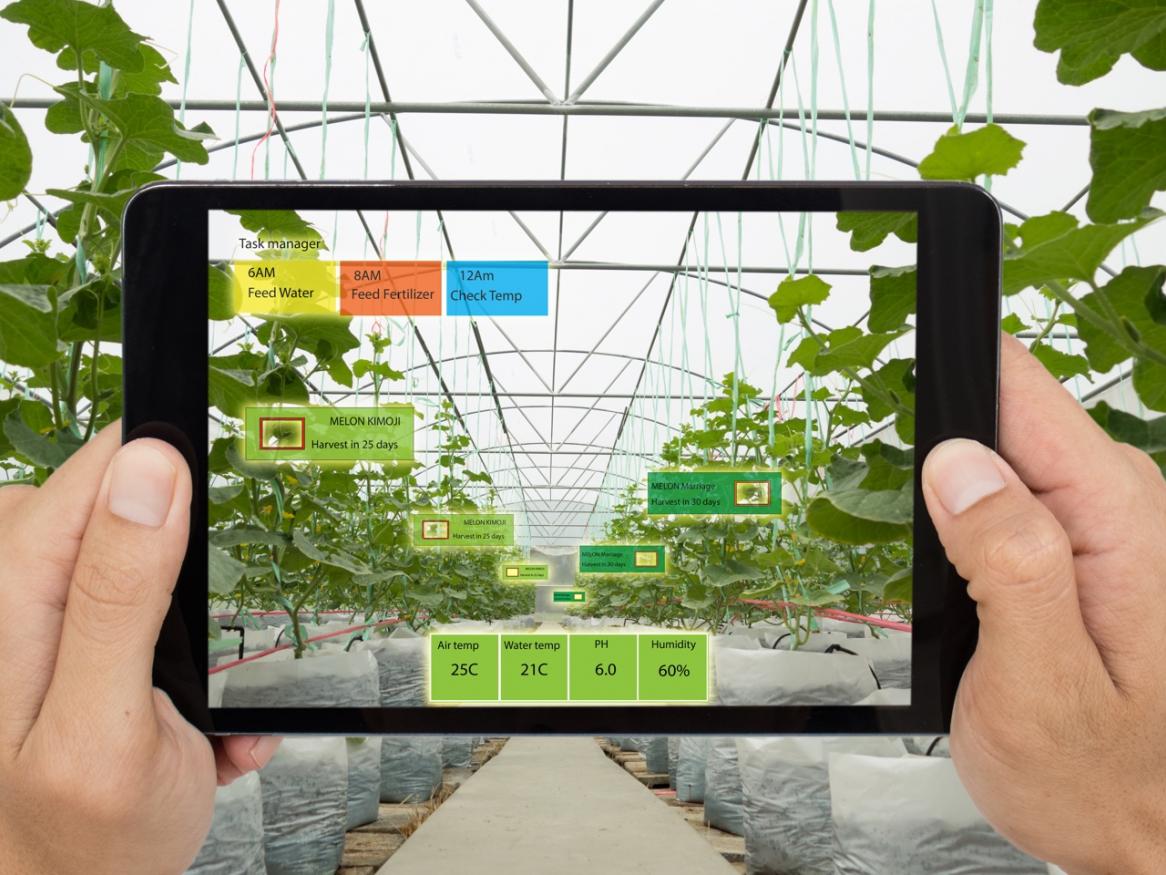 Concept image for AI in agriculture