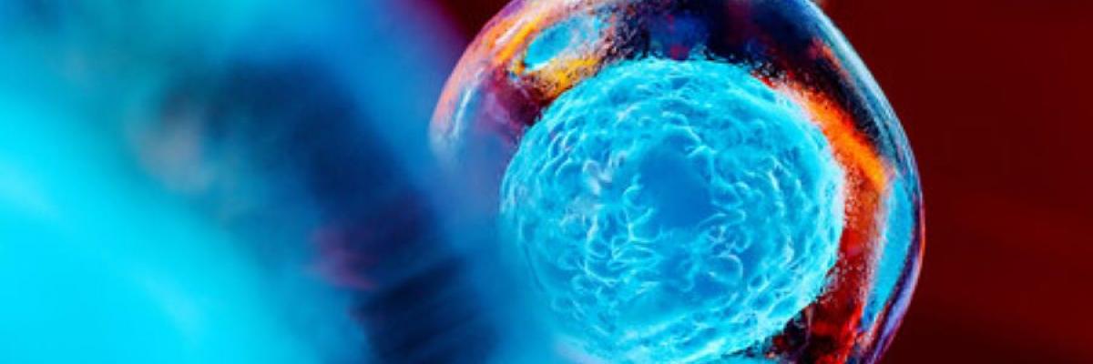 A beautiful blue-tinted view of something round and microscopic