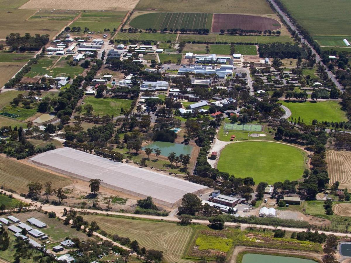 Roseworthy Campus