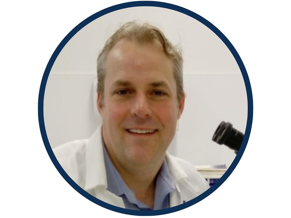 Associate Professor Ryan O’Handley