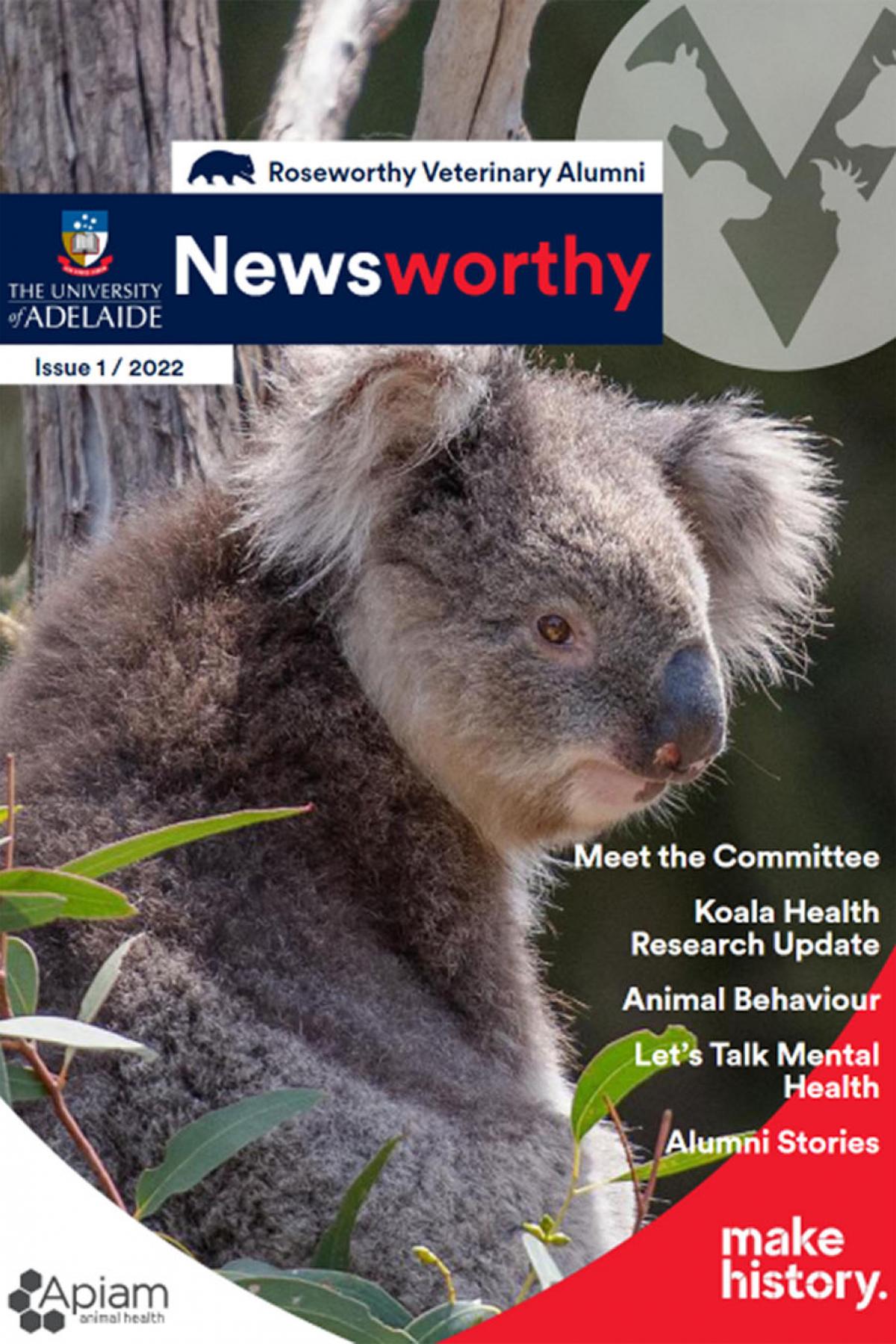 The cover of Issue 1 of Newsworthy showing a Koala in a tree