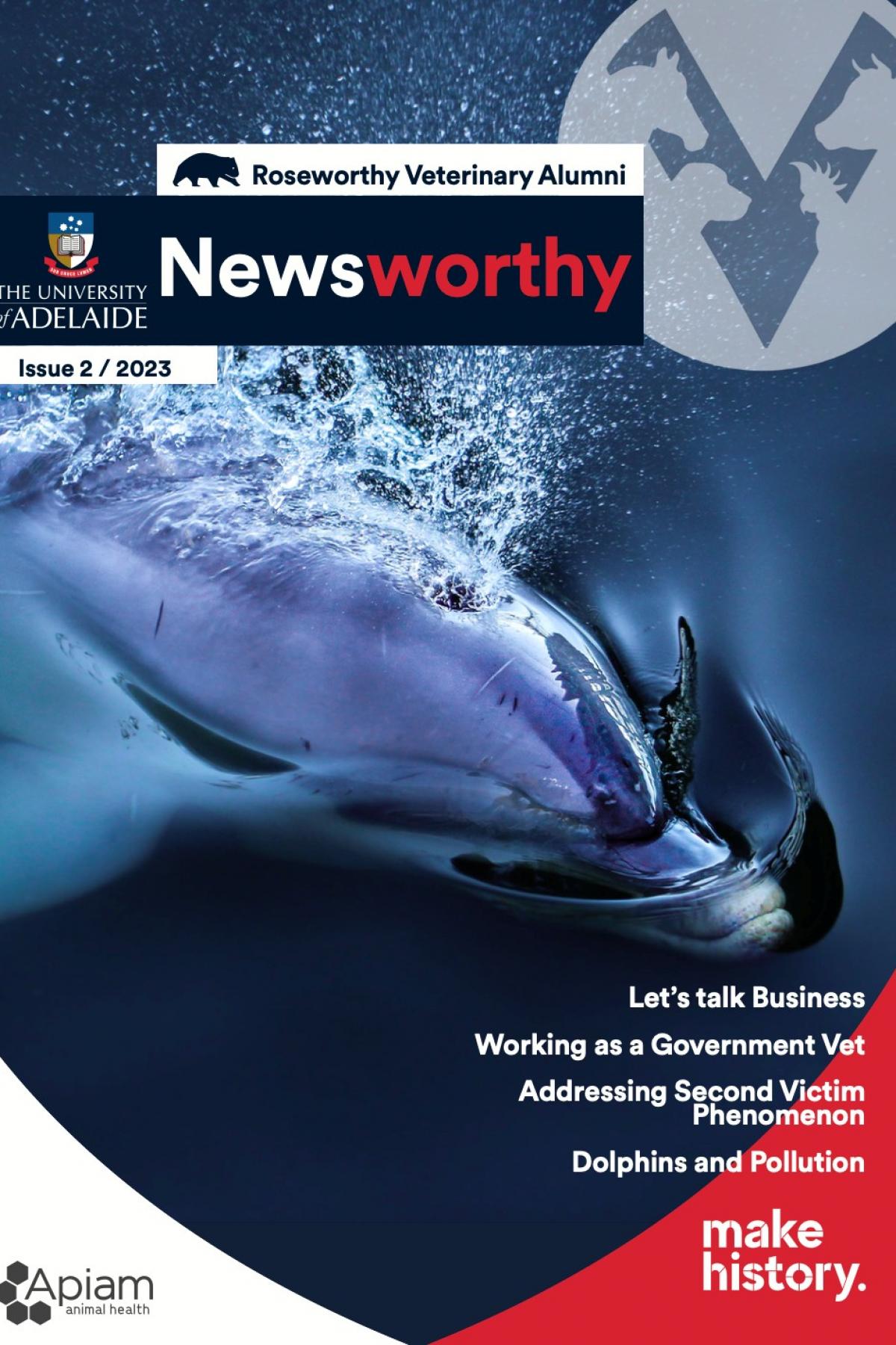 Newsletter 2