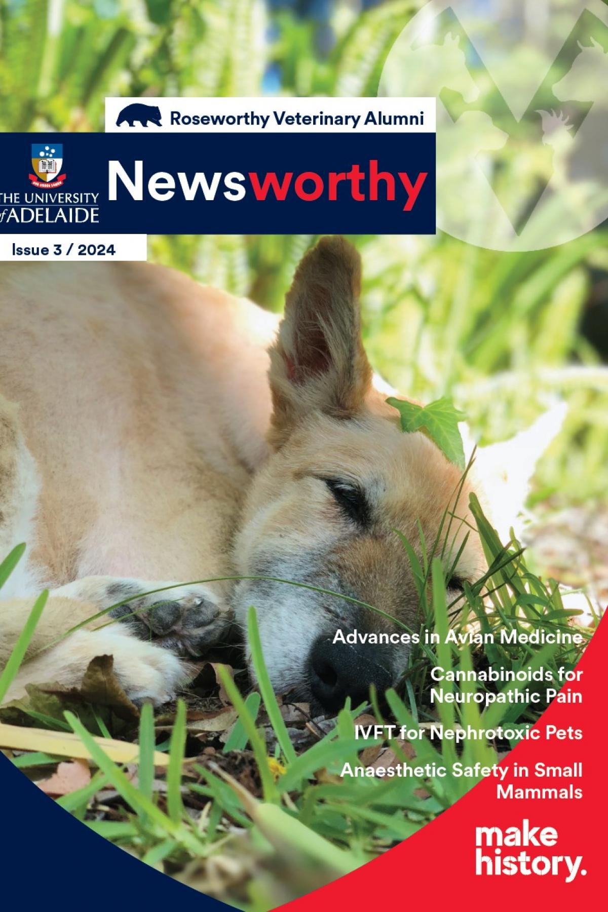 Newsworthy issue 3