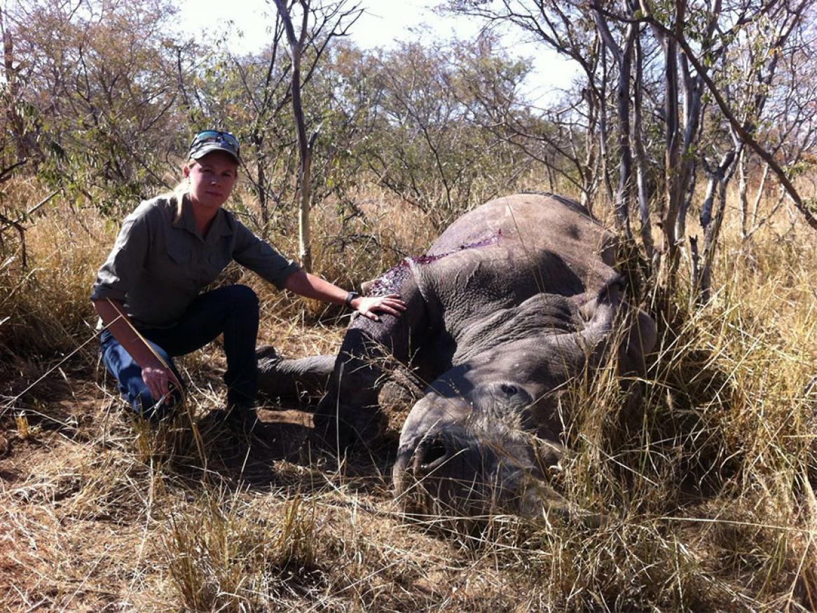 Vet with Rhino