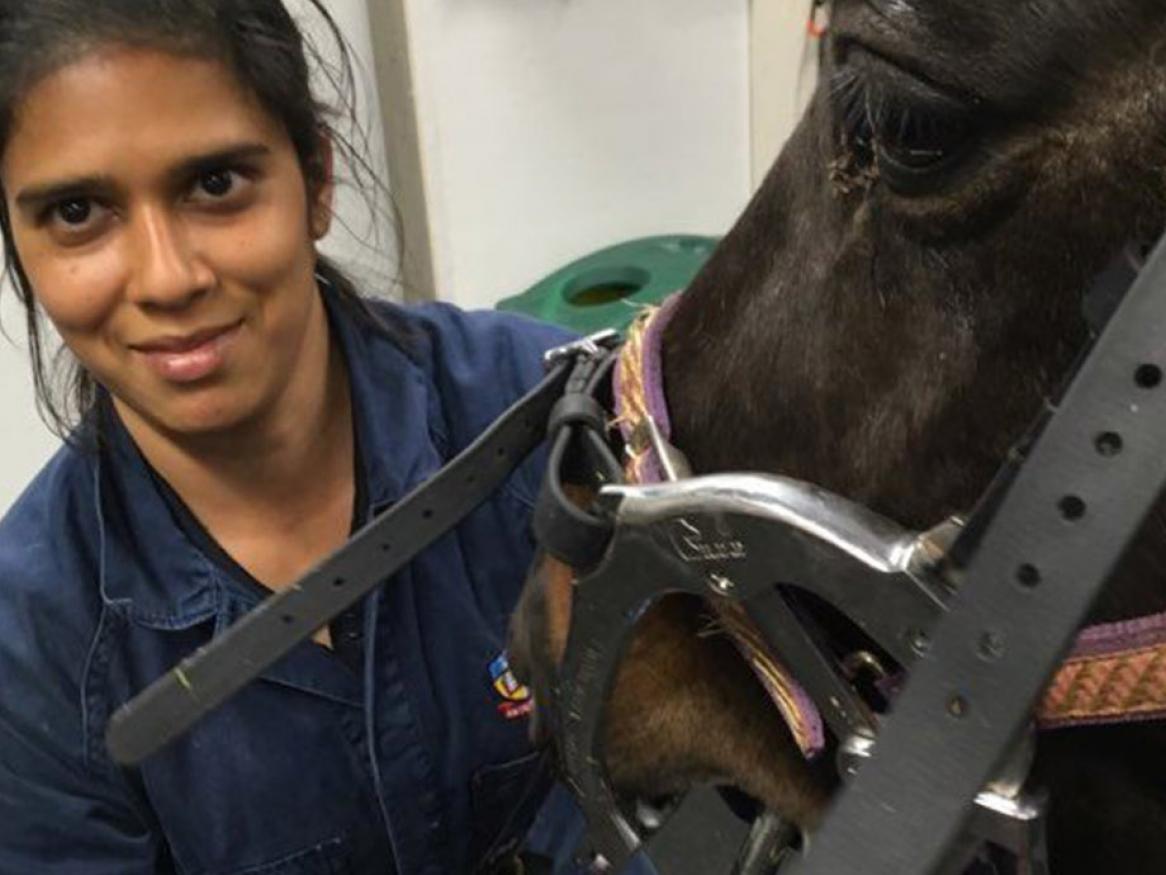 Doctor of Veterinary Medicine Alumnae Aparjita with horse