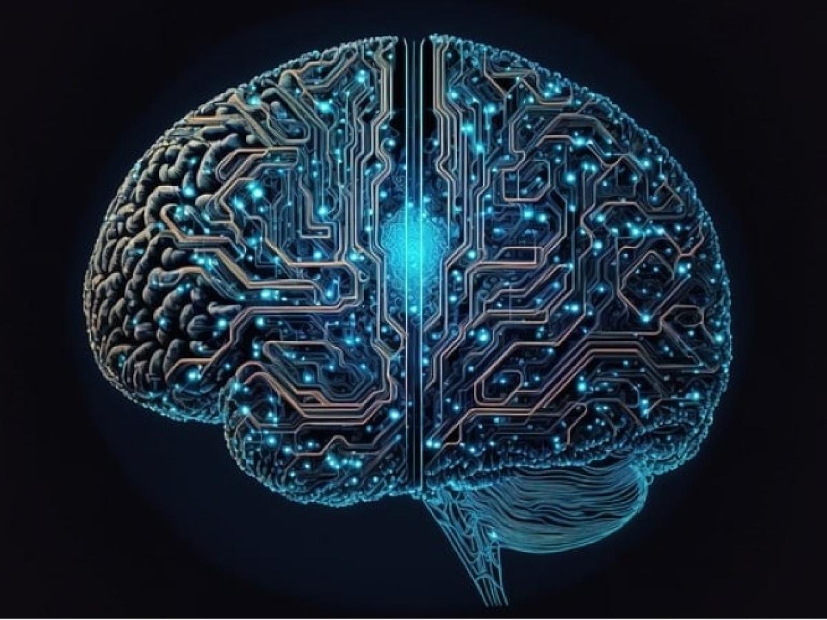 Brain with digital pathways