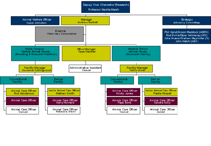 organisation structure chart