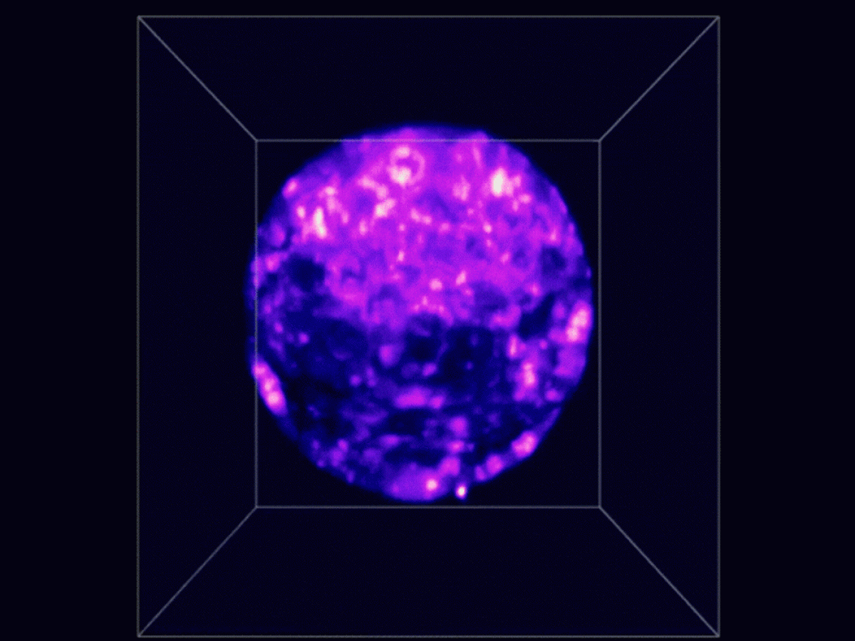Light sheet