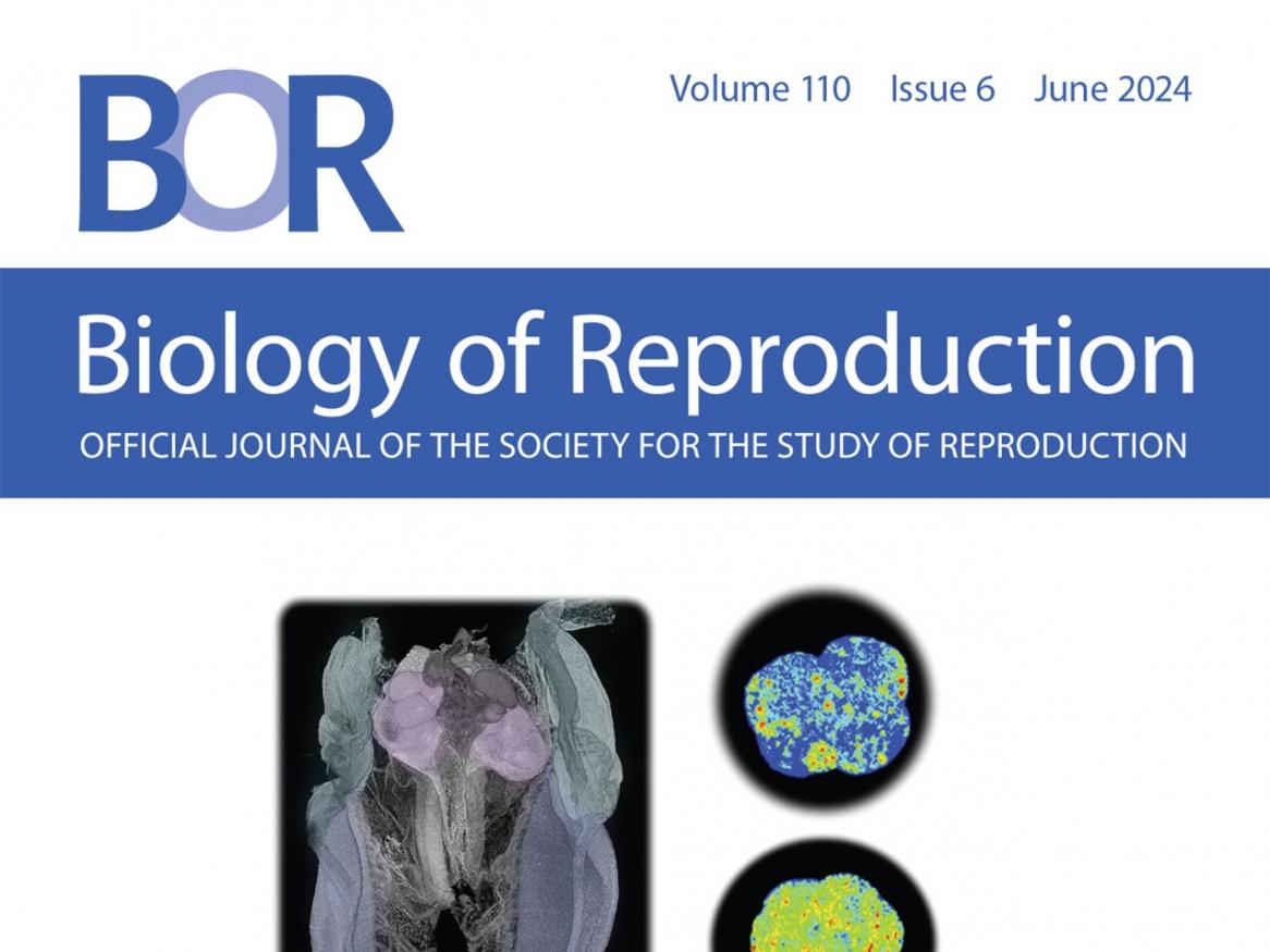 Front cover of Biology of Reproduction
