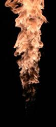 Sandia flame