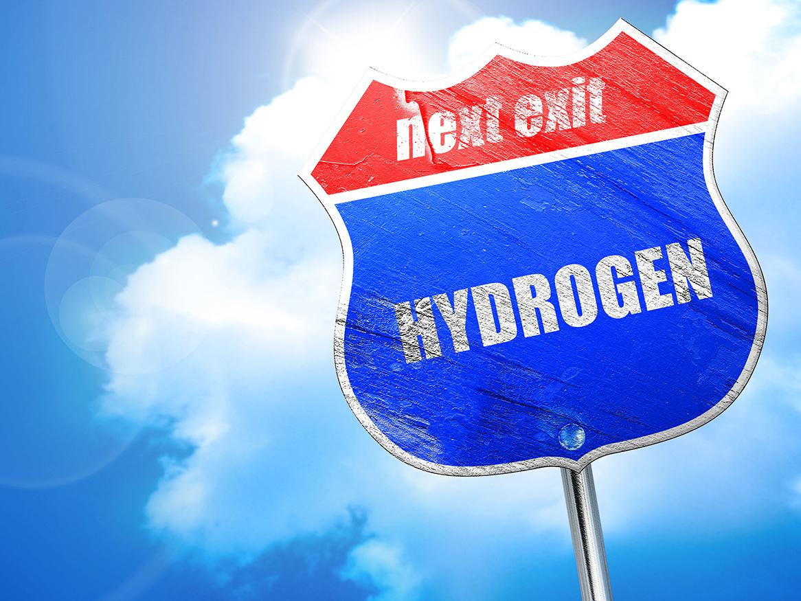 Hydrogen Storage and Production Forum
