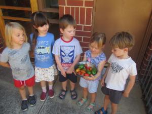 Harvesting ingredients for pizza