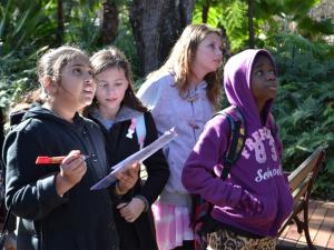 Ethogram activity at the Adelaide Zoo