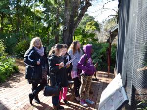 Ethogram activity at the Adelaide Zoo