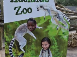 Fun at the Adelaide Zoo